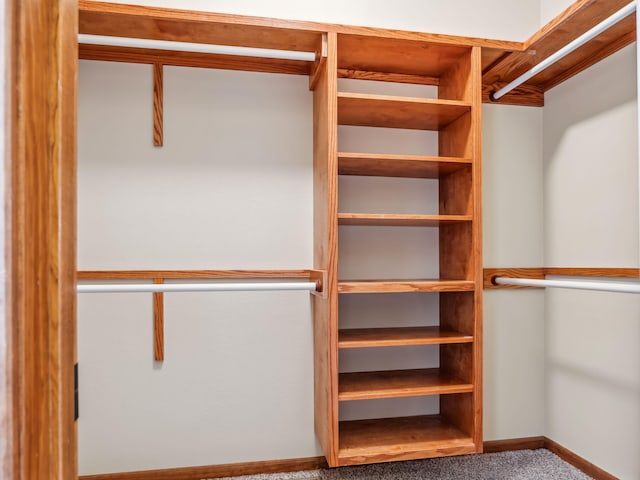 spacious closet with carpet floors