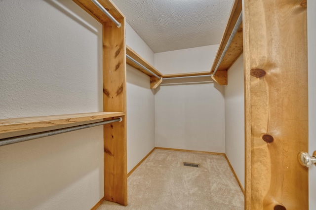 spacious closet with light carpet