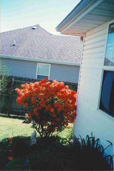 view of side of home featuring a lawn