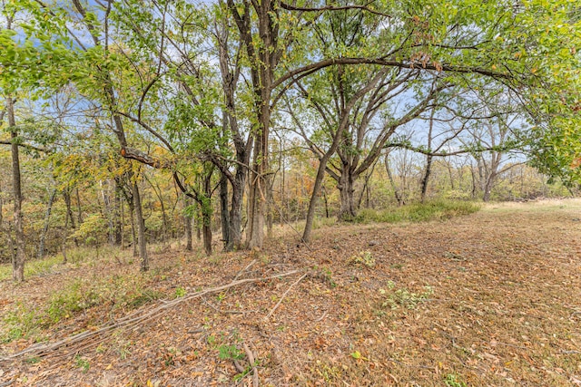 view of landscape