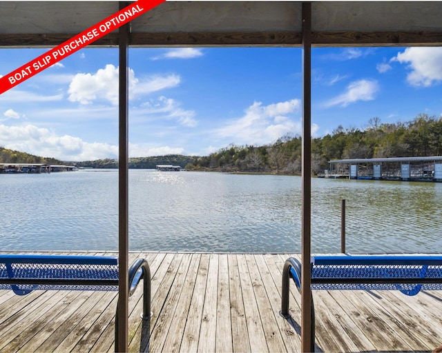 18 Eagle Dr, Reeds Spring, MO 65737 - dock featuring a water view