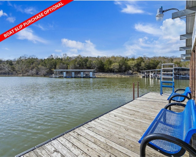 18 Eagle Dr, Reeds Spring, MO 65737 - dock with a water view and a view of trees