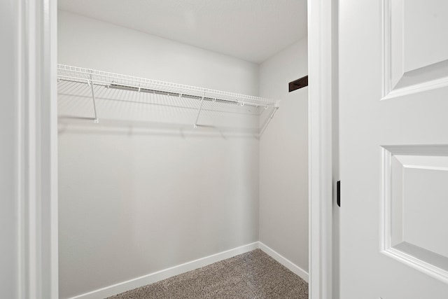 walk in closet with carpet