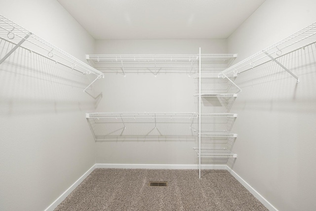 walk in closet with carpet floors