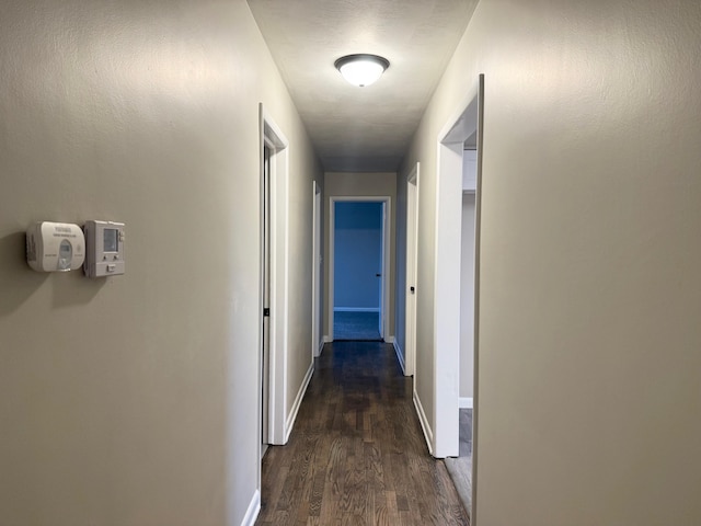 hallway featuring dark hardwood / wood-style flooring