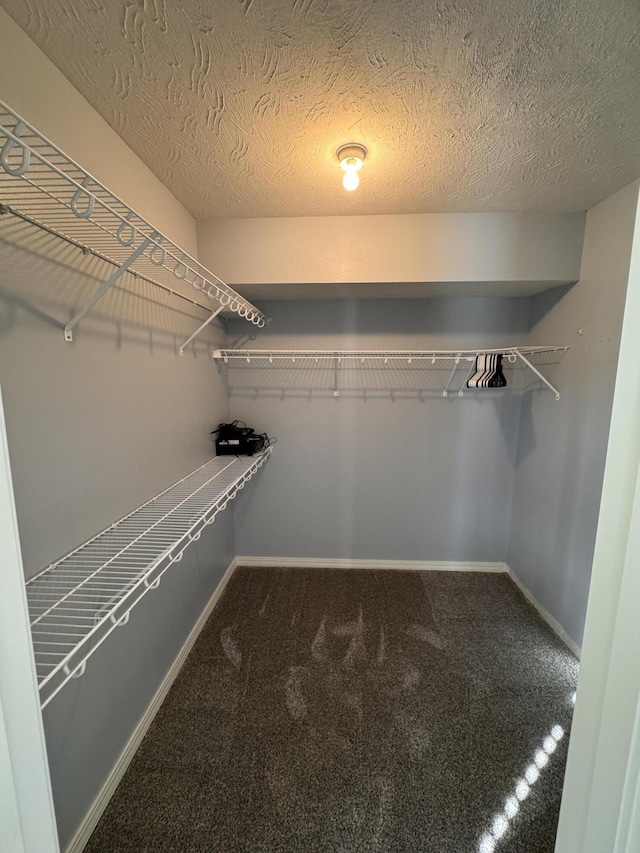 walk in closet with carpet