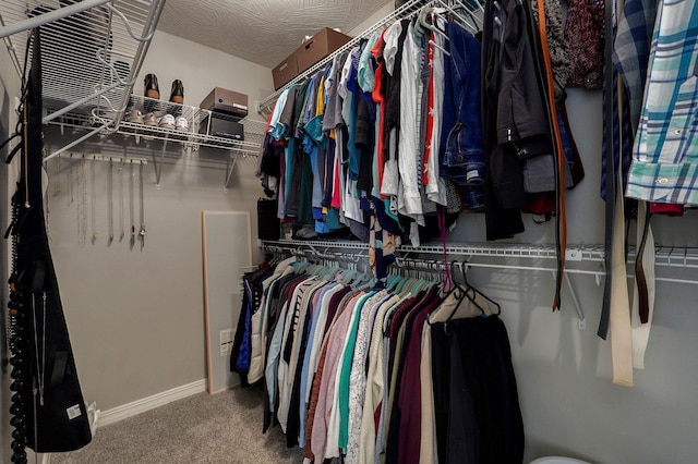 walk in closet with carpet flooring