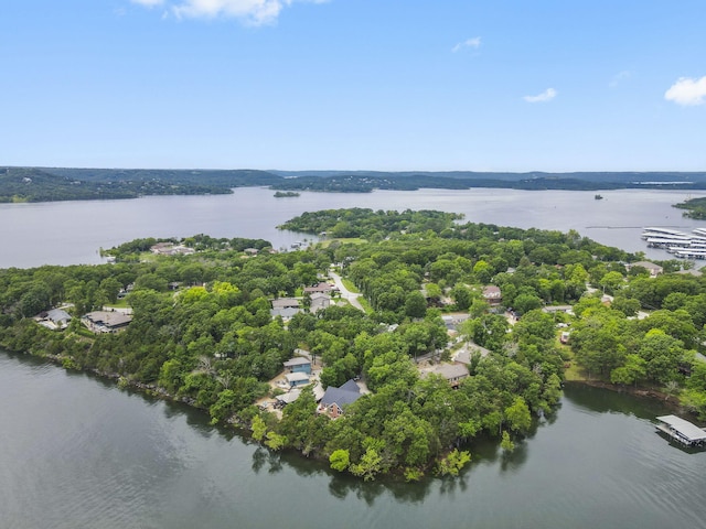 317 Scenic Dr, Hollister, MO 65672 - photo 61