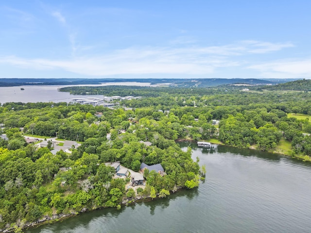 317 Scenic Dr, Hollister, MO 65672 - photo 64