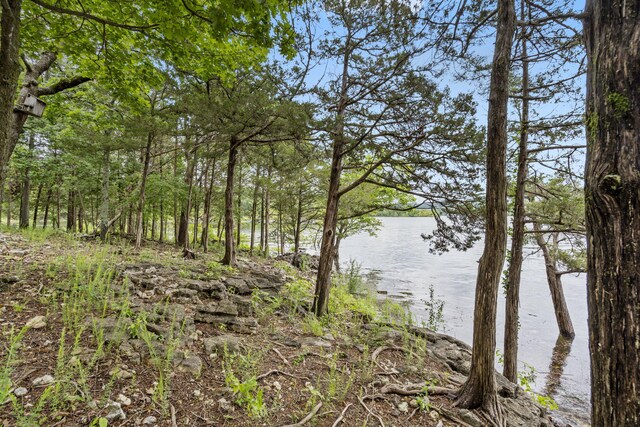 317 Scenic Dr, Hollister, MO 65672 - photo 66