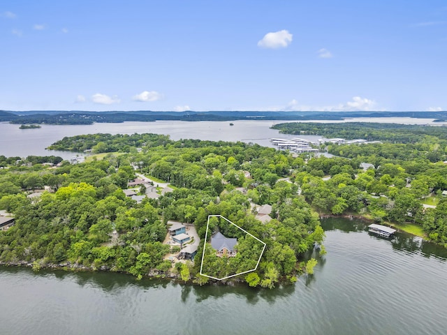 317 Scenic Dr, Hollister, MO 65672 - photo 59