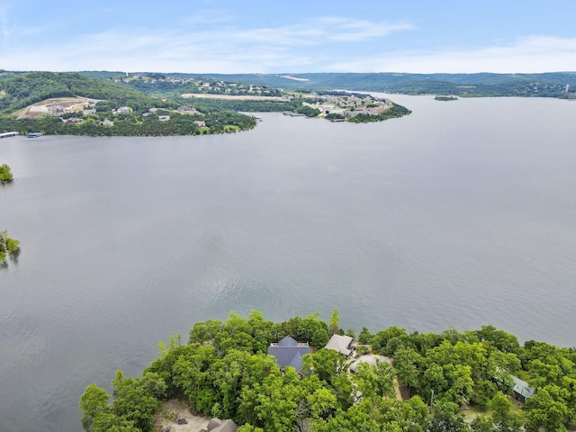 317 Scenic Dr, Hollister, MO 65672 - photo 63