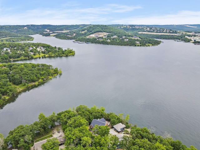 317 Scenic Dr, Hollister, MO 65672 - photo 62