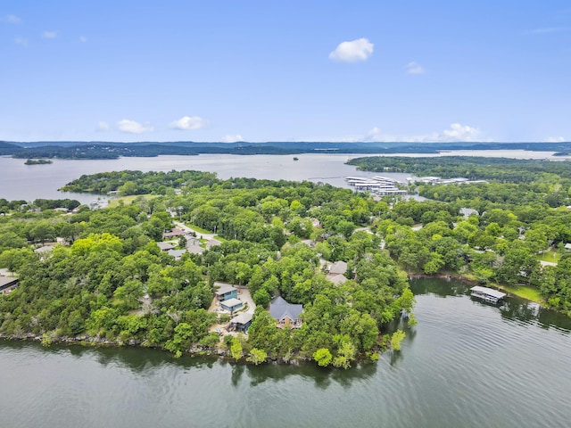 317 Scenic Dr, Hollister, MO 65672 - photo 60