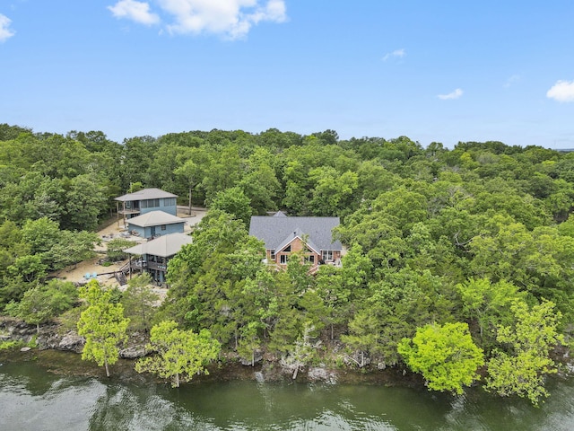 317 Scenic Dr, Hollister, MO 65672 - photo 65