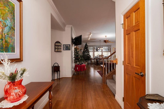 corridor featuring crown molding and hardwood / wood-style floors