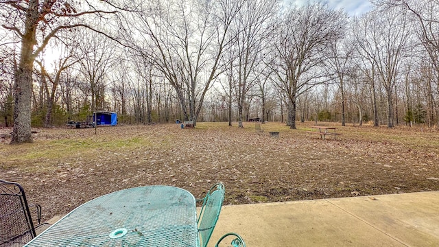 view of yard with a patio area