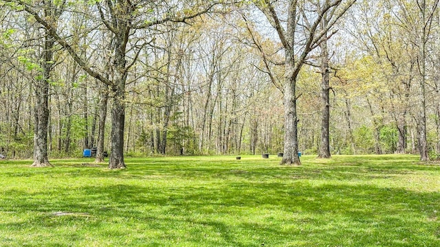 view of yard featuring a view of trees