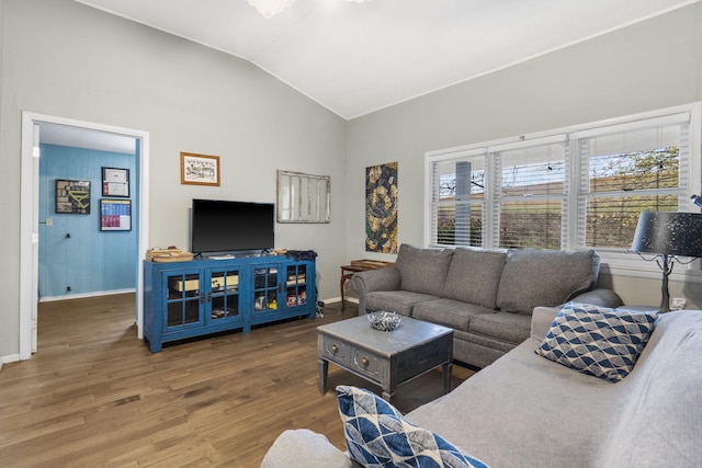 living room with wood-type flooring and lofted ceiling