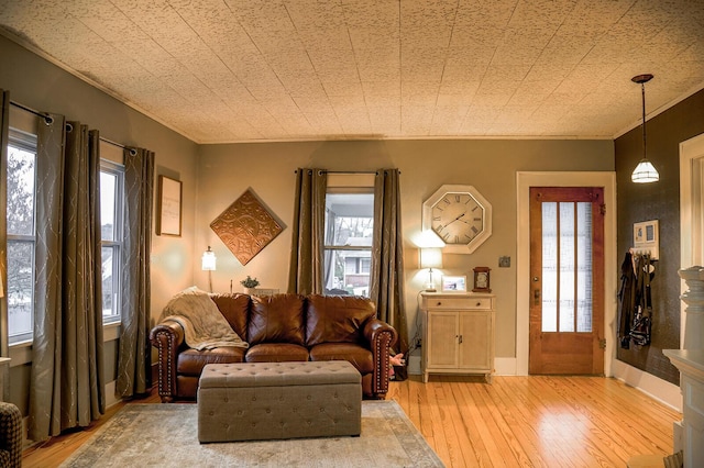 living room featuring light hardwood / wood-style flooring and ornamental molding