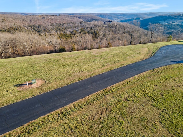 Listing photo 2 for LOT21 Newbury Rd, Reeds Spring MO 65737