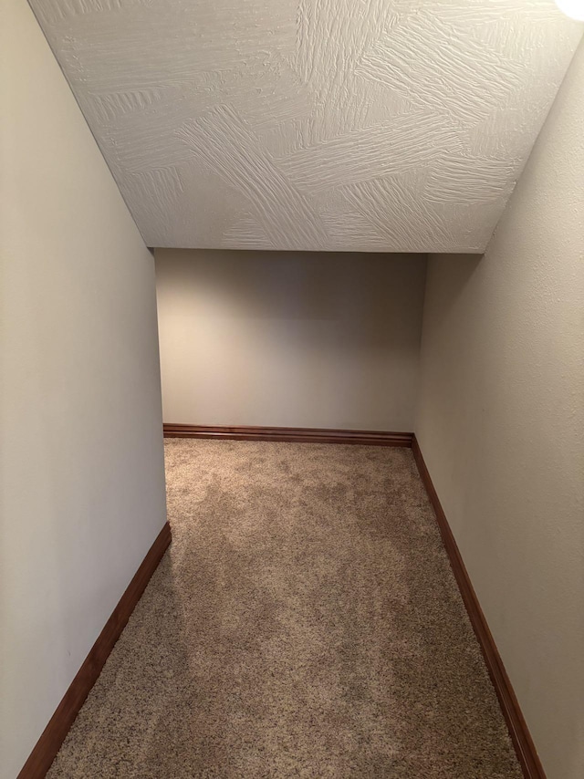 empty room featuring carpet floors and a textured ceiling