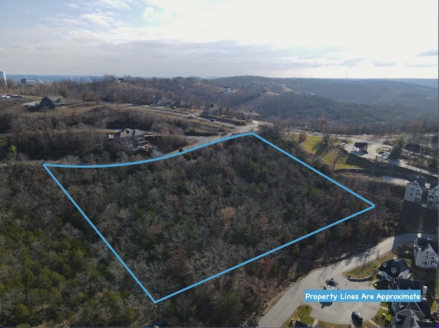 35 And Ests Lot 34, Branson MO, 65616 land for sale