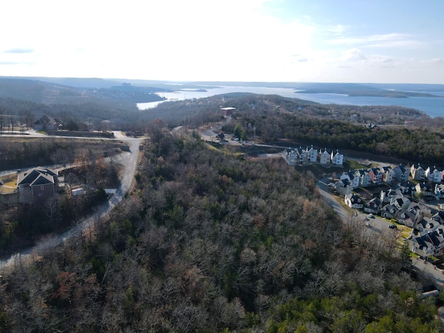 Listing photo 3 for 35 And Ests Lot 34, Branson MO 65616