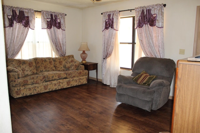 living room featuring dark wood-type flooring