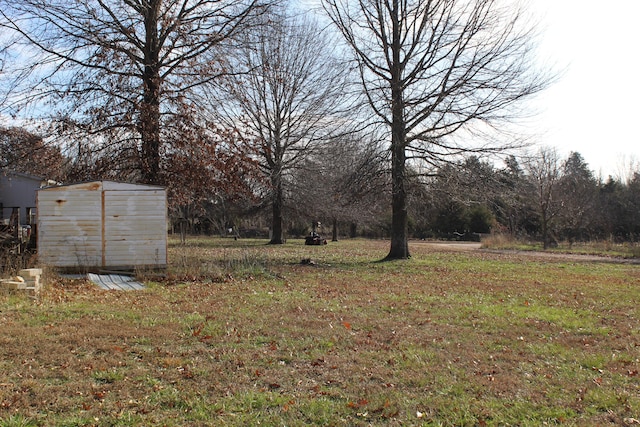 view of yard with a storage unit