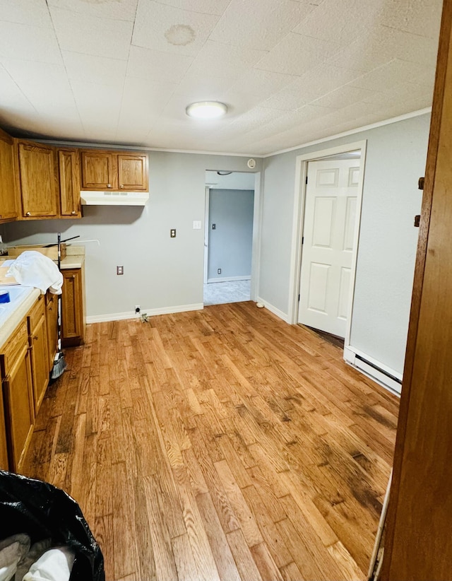 interior space featuring light wood-type flooring and a baseboard radiator