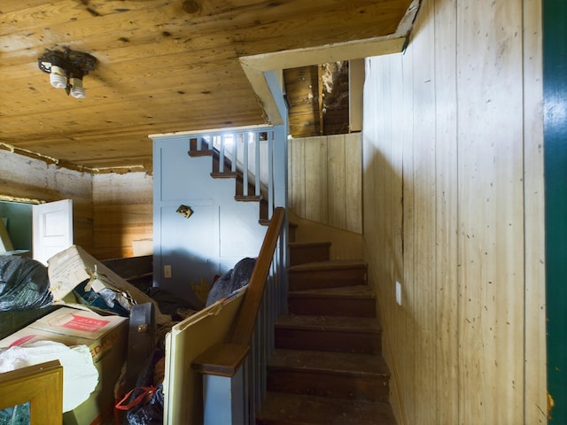 stairs featuring wooden ceiling and wooden walls