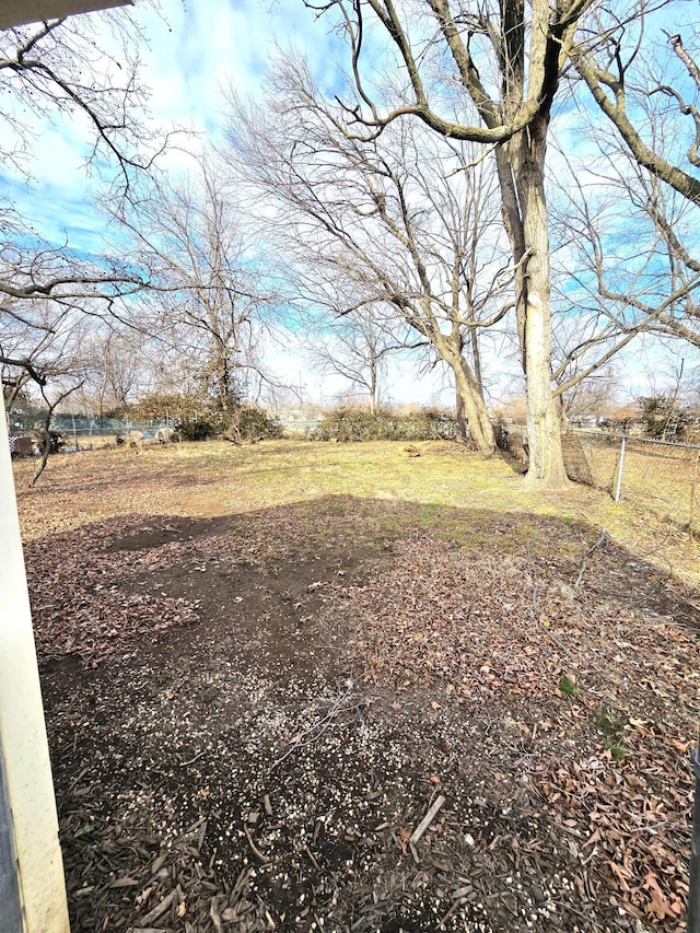 view of yard with a rural view