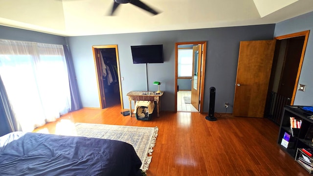 bedroom with a walk in closet, ensuite bath, ceiling fan, wood-type flooring, and a closet