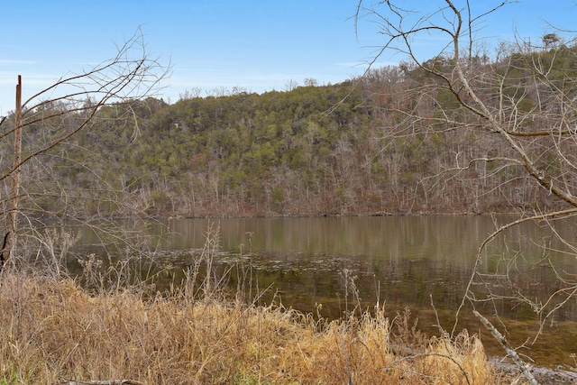 view of landscape with a water view