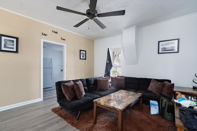 living room with ceiling fan, light hardwood / wood-style floors, ornamental molding, and a textured ceiling