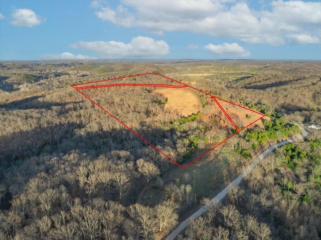 000 Chapel Bluff Rd, Macks Creek MO, 65786 land for sale