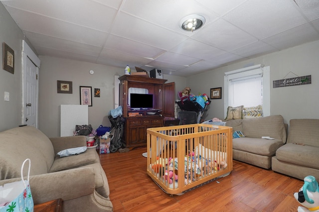 living room with a paneled ceiling and wood-type flooring