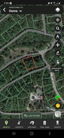 000 Eastwood Hls Unit 6, Theodosia, MO 65761 - photo 5