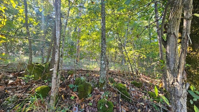 000 Eastwood Hls Unit 6, Theodosia, MO 65761 - photo 2