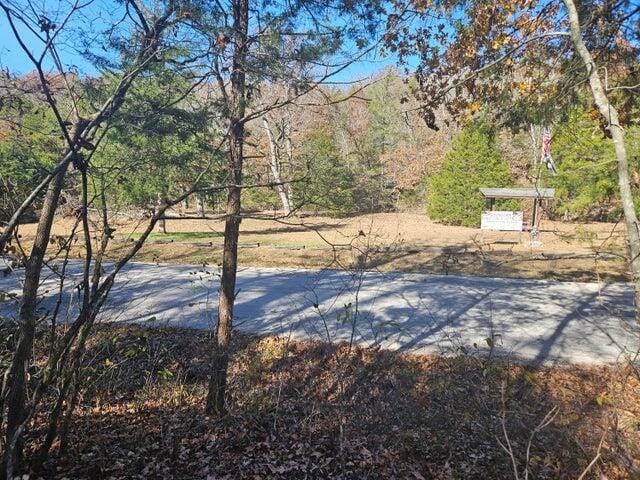000 Eastwood Hls Unit 6, Theodosia, MO 65761 - photo 4