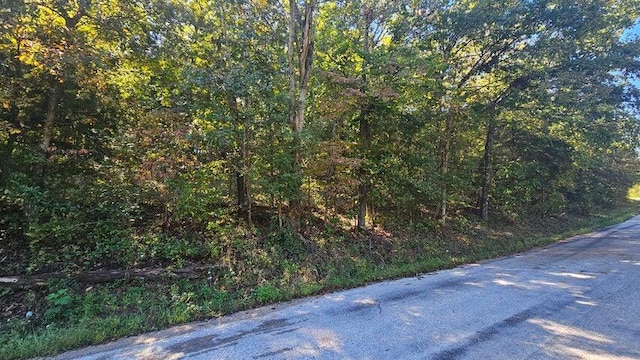 000 Eastwood Hls Unit 6, Theodosia, MO 65761 - photo 1