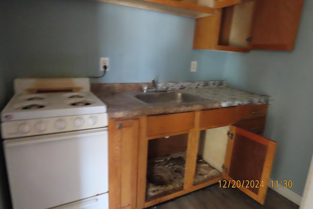 kitchen with gas range gas stove, sink, and dark wood-type flooring