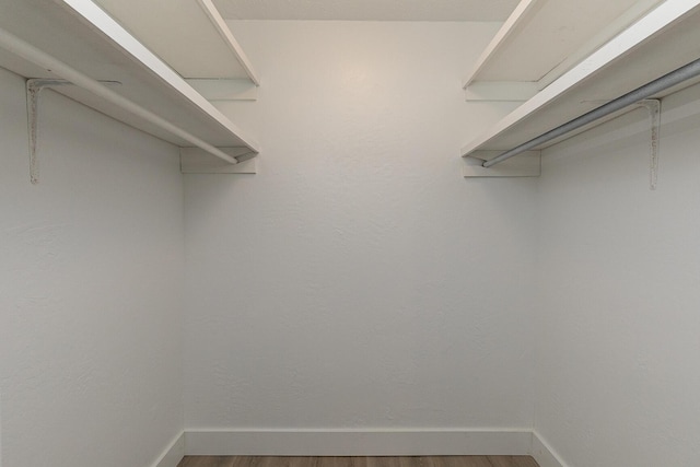 spacious closet with hardwood / wood-style flooring