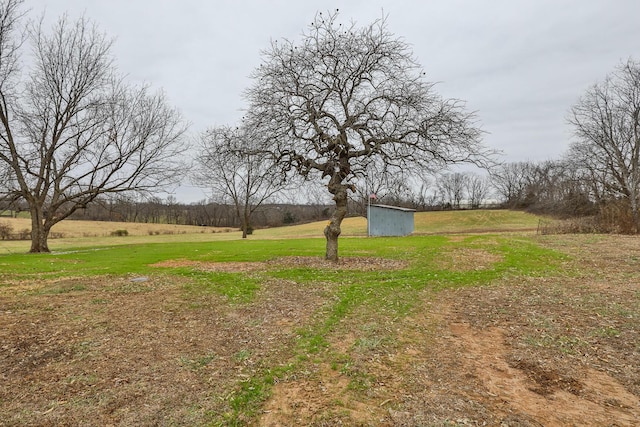 view of yard featuring a rural view