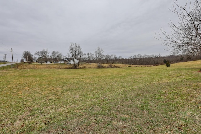 view of yard with a rural view