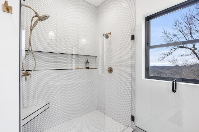 bathroom featuring plenty of natural light and a shower with shower door