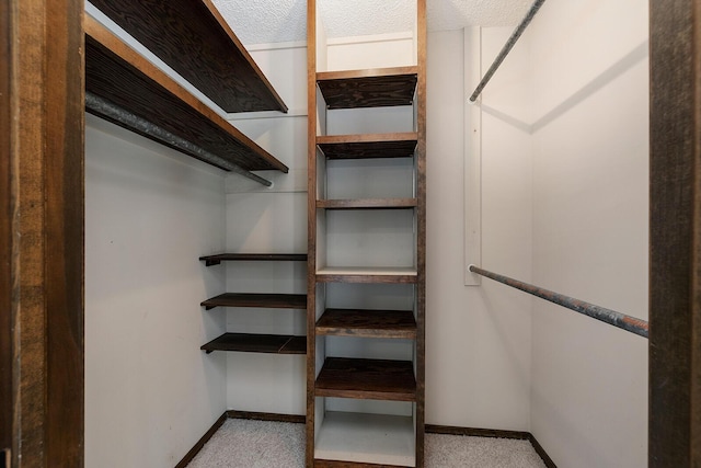 walk in closet with light colored carpet