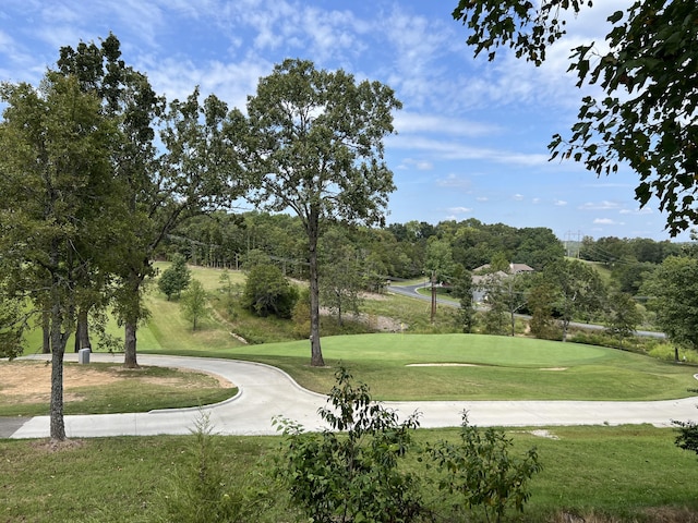 view of home's community with a lawn