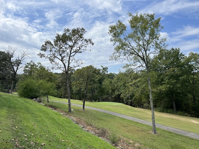 view of community with a yard